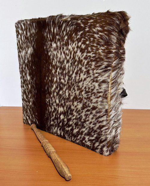 dbd338b722bb8cfe84b95d657309f640cab66aa8