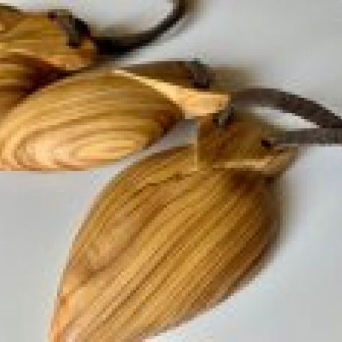Castañuelas Olivo  D&VÁN