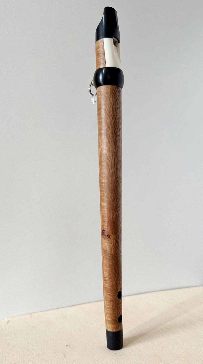 Gaita Charra Encina Pacheco Tradicional