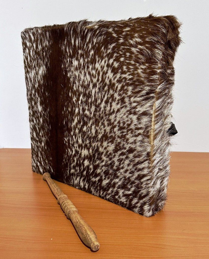 dbd338b722bb8cfe84b95d657309f640cab66aa8