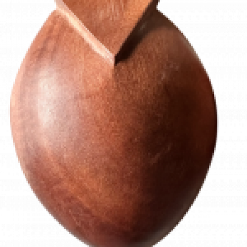 Castañuelas Kotibe Pacheco Tradicional