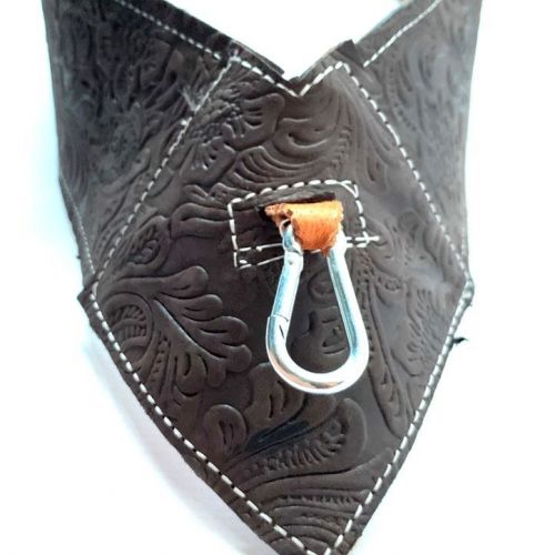 Bandolera castallana