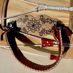 tamboril 31 o natural 5